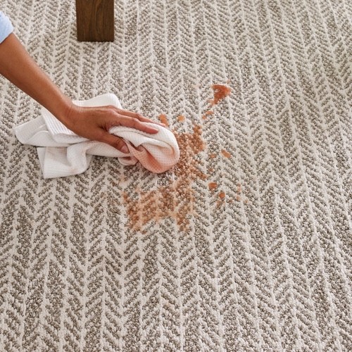 Stain cleaning tips | Great Lakes Carpet & Tile