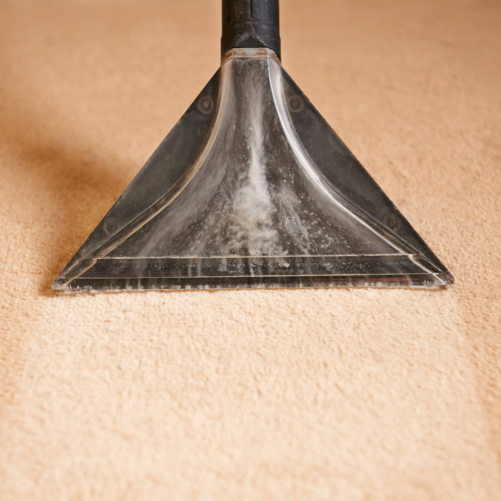 Carpet cleaning | Great Lakes Carpet & Tile