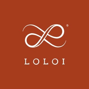 Loloi | Great Lakes Carpet & Tile
