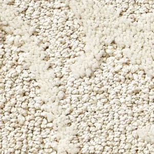 Carpet-img