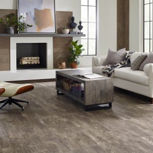 Paramount plus vinyl flooring | Great Lakes Carpet & Tile