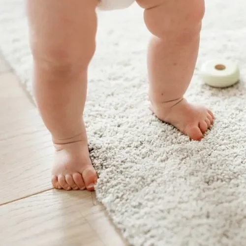 5 ecoFriendly | Great Lakes Carpet & Tile