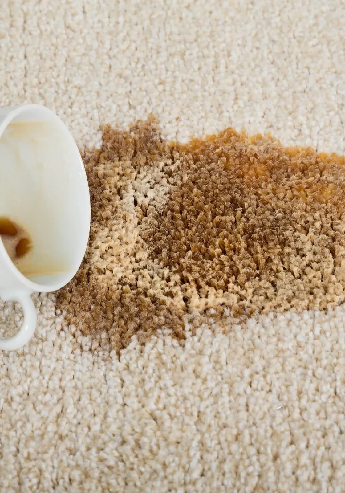 carpetCleaning2 1600x1600 portrait portrait | Great Lakes Carpet & Tile