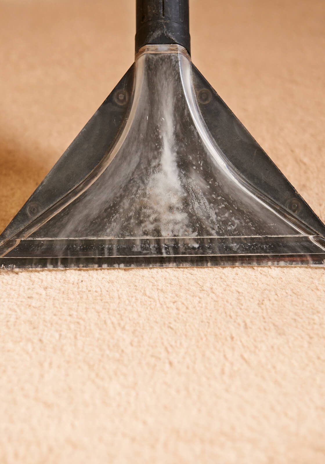 Carpet cleaning | Great Lakes Carpet & Tile